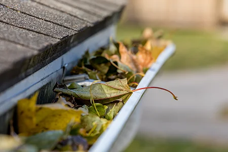 clogged gutters